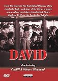 David / Cardiff / Miners Weekend [DVD]