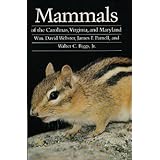 mammals of the carolinas virginia and maryland