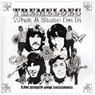 What a State I'm In: Psych-Pop Sessions