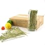 10,000 Piece Case Pack of 7.1" Knotted End Bamboo Cocktail Picks, 10bags X 100pc/bag=1,000 pc/box X 10boxes/case