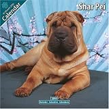 Shar Pei 2010 Wall Calendar #10070-10