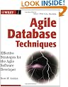 Agile Database Techniques