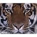 Nature's Smart Mouse Pad with Recycled Materials and Tiger Print (29880)