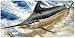 Marlin Leap - Art Print - License Plate Tag By Don Ray From Airstrike