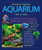 Setting Up A Tropical Aquarium
