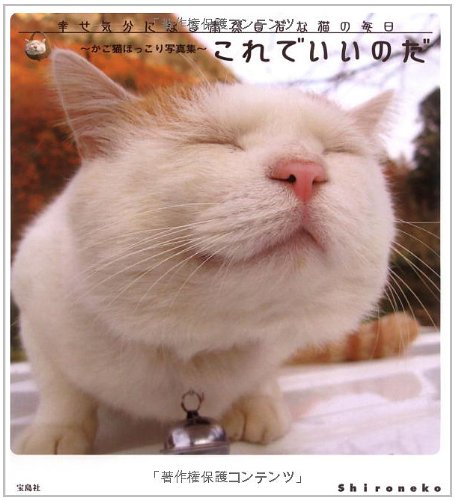 これでいいのだ かご猫ほっこり写真集