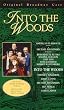 Into the Woods [VHS]