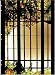 Tiffany Autumn Vine (Handstitched Tiffany Stained Glass)