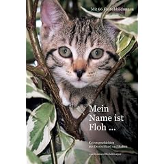 Mein Name ist Floh...: Katzengeschichten