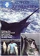 The Best of: Fish - Costa Rica