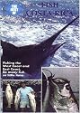 The Best of: Fish - Costa Rica