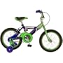 Kawasaki KX16 Boy's Bike (16-Inch Wheels)