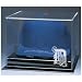 Caseworks Detroit Tigers Collector's Cap Case