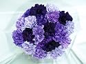 20 Fresh-cut Mixed Purple Carnations (advance ordering recommended)