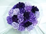 20 Fresh-cut Mixed Purple Carnations (advance ordering recommended)
