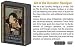 Magpul Dynamics Art of the Dynamic Handgun, 4-Disc DVD Set DYN004