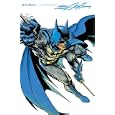 Batman Illustrated, Vol. 2