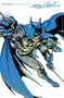 Batman Illustrated, Vol. 2