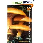 Click here to buy Mushrooms of West Virginia and the Central Appalachians by  William C. Roody.