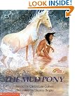 The Mud Pony