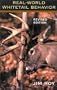 Real World Whitetail Behavior