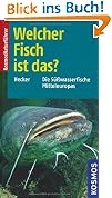 Welcher Fisch ist das?