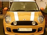 CAR EYELASHES WITH PINK DIAMONTE TRIM