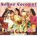 Fiesta Songs (Remastered)