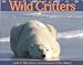 Wild Critters