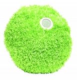 Green Plush Round Speaker Pillow, for iPod/MP3 or Anything with a speaker jack
