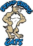 Stumps Spirit