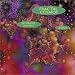 Book Fractal Cosmos 2002 Calendar: Saturated Universe