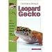 Great Gecko Guides