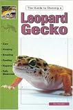 The Guide to Owning a Leopard Gecko