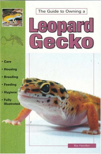 The Guide to Owning a Leopard Gecko