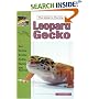 The Guide to Owning a Leopard Gecko