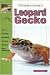 The Guide to Owning a Leopard Gecko/ Leopard Geckos: Identification, Care, & Breeding
