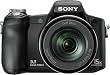 Sony Cyber-shot DSCH50 9.1 MP Digital Camera with 15x Optical Zoom with Super Steady Shot