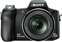 Sony Cyber-shot DSCH50 9.1 MP Digital Camera with 15x Optical Zoom with Super Steady Shot
