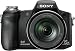 Sony Cyber-shot DSCH50 9.1 MP Digital Camera with 15x Optical Zoom with Super Steady Shot
