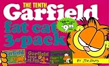 Garfield Fat Cat 3-Pack #10: Contains: Garfield Life in the Fat Lane (#28); Garfield Tons of Fun (#29); Garfi eld Bigger and Better (#30)) (Garfield Fat Cat Three Pack)