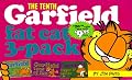 Garfield Fat Cat 3-Pack #10: Contains: Garfield Life in the Fat Lane (#28); Garfield Tons of Fun (#29); Garfi eld Bigger and Better (#30)) (Garfield Fat Cat Three Pack)