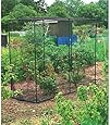 Gardman 7661 Fruit Cage Medium, 30" Long x 78" Wide x 63" High