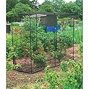 Gardman 7661 Fruit Cage Medium, 30" Long x 78" Wide x 63" High