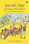Special Days at Daisy Hill School: The Life of Jesus for Young Readers