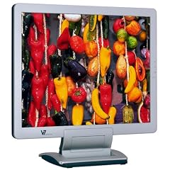 V7 Videoseven L19FM 48,3 cm (19 Zoll) TFT Monitor schwarz/silber mit Lautsprechern (Kontrast 500:1, 12 Ms Reaktionszeit)