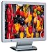 V7 Videoseven L19FM 19 Zoll TFT Monitor schwarz/silber mit Lautsprechern (Kontrast 500:1, 12 Ms Reaktionszeit)