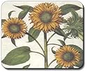 Sunflowers - Mouse Pad