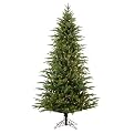 Pre-Lit Poly Frasier Tree Multi 7.5'