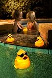 AquaGlow 3579-3M Light Up Ducks